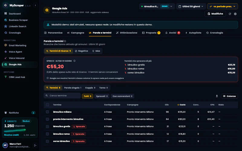 La scheda «Parole e termini» dell'account demo: i termini di ricerca che hanno fatto comparire gli annunci, con clic, costo e conversioni, e l'analisi delle parole ricorrenti.